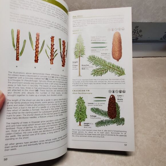 National Geographic Field Guide to the Trees of North America by Charles Hollis - Picture 7 of 8